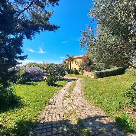 הייר Rez De Jardin Villa Presqu'Ile De Giens מראה חיצוני תמונה