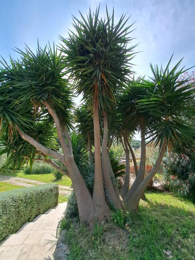 הייר Rez De Jardin Villa Presqu'Ile De Giens מראה חיצוני תמונה
